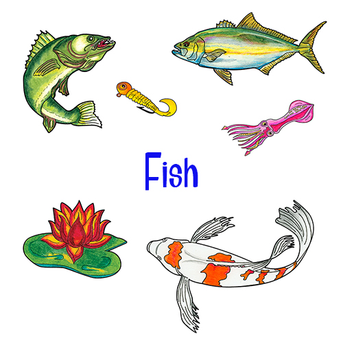 Fish